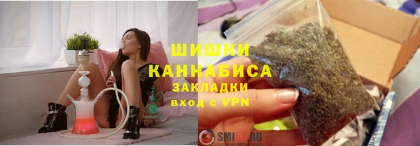 мдпв Дмитровск