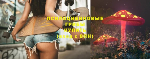 мдпв Дмитровск
