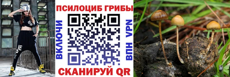 Псилоцибиновые грибы MAGIC MUSHROOMS  где купить наркоту  сайты даркнета клад  Сочи 